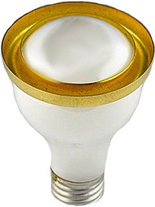 Brass Oil Warmer Ring