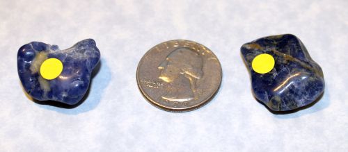 Sodalite Tumbled - 1 Small (Yellow or No Dot)
