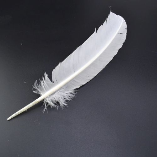 White Turkey Feather (Dyed) 12 in