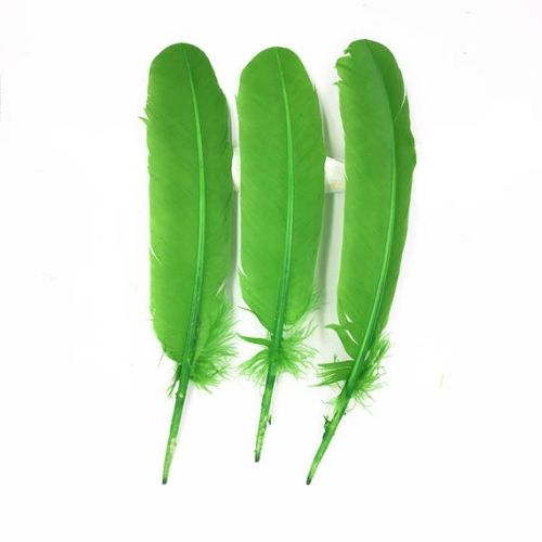 Green Turkey Feather (Dyed) 12 in
