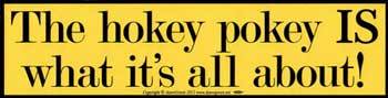 The Hokey Pokey IS What It All About