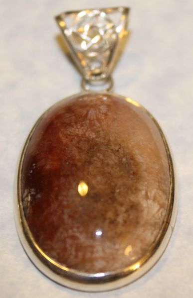 Agatized Fossilized Coral Oval Pendant (Sterling)