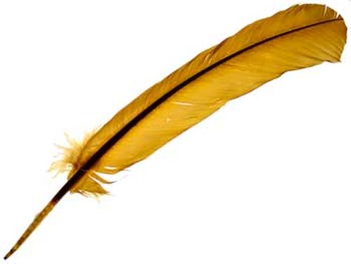 Gold Turkey Feather (Dyed) 12 in