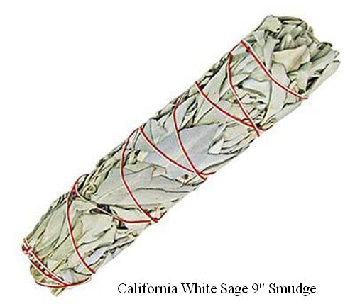 California White Sage 9in