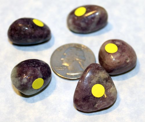 Lepidolite Tumbled - 1 Small (No Dot)