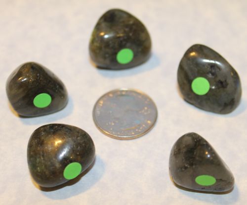 Labradorite Tumbled - 2 Medium (Green Dot)