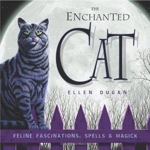 Enchanted Cat - Dugan