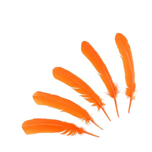 Orange Turkey Feather (Dyed) 12 in