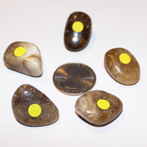 Aragonite Brown Tumbled - 1 Small (Yellow Dot)
