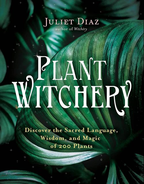 Plant Witchery by Diaz