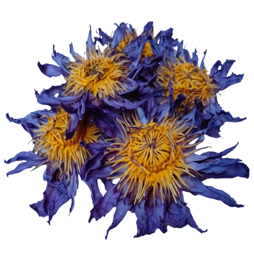 Blue Lotus Flower Organic 1oz